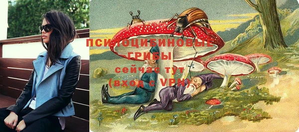 ГАЛЛЮЦИНОГЕННЫЕ ГРИБЫ Протвино