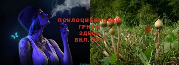 тгк Всеволожск