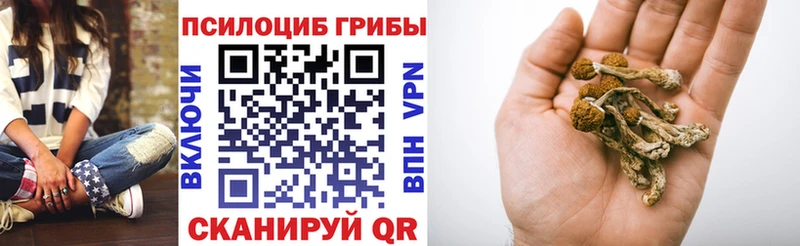 Псилоцибиновые грибы мицелий  Междуреченск 